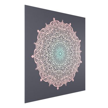 Impression sur forex - Mandala Ornament In Rose And Blue