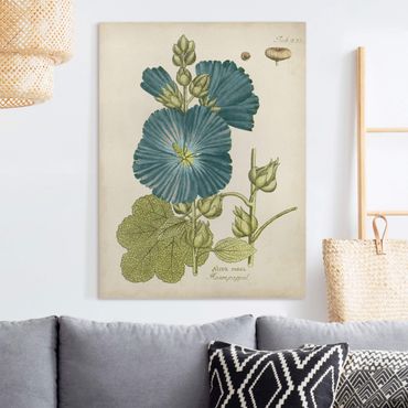Impression sur toile - Vintage Botany In Blue Rose Poplar