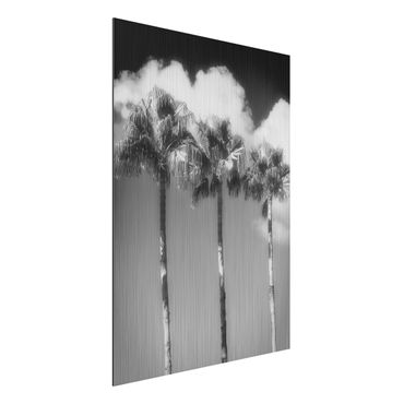 Impression sur aluminium - Palm Trees Against The Sky Black And White