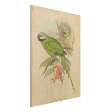 Impression sur bois - Vintage Illustration Tropical Birds II