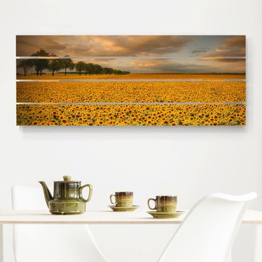 Impression sur bois - Field With Sunflowers