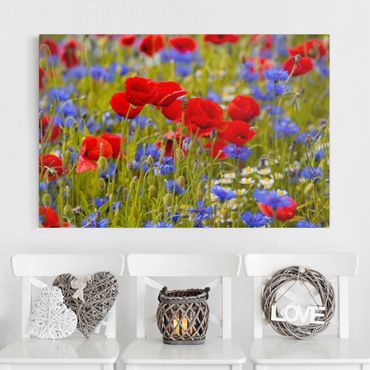 Impression sur toile - Summer Meadow With Poppies And Cornflowers