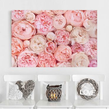 Tableau sur toile - Roses Rosé Coral Shabby
