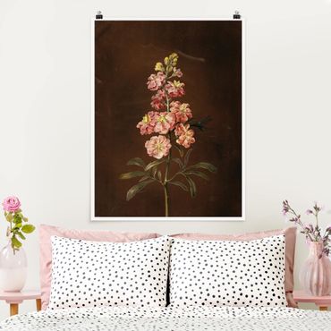 Poster reproduction - Barbara Regina Dietzsch - A Light Pink Gillyflower
