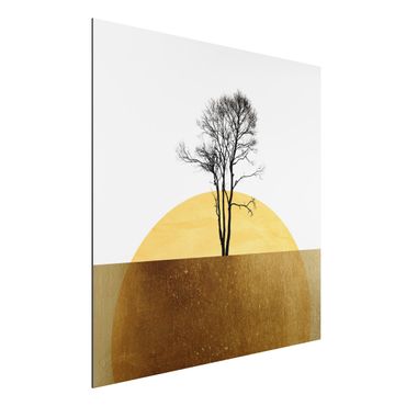 Tableau en alu Dibond - Golden Sun With Tree