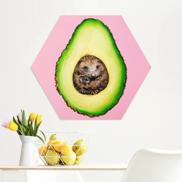 Hexagone en forex - Avocado With Hedgehog