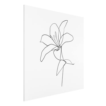 Impression sur forex - Line Art Flower Black White