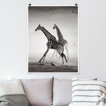 Poster animaux - Giraffe Hunt