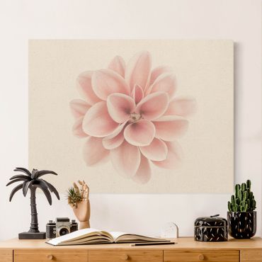 Tableau sur toile naturel - Dahlia Pink Pastel Flower Centered - Format paysage 4:3