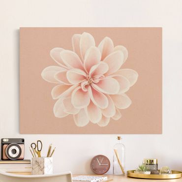 Tableau sur toile naturel - Dahlia Pink Pastel White Centered - Format paysage 4:3