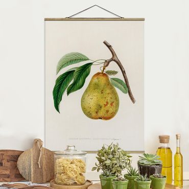 Tableau en tissu avec porte-affiche - Botany Vintage Illustration Yellow Pear