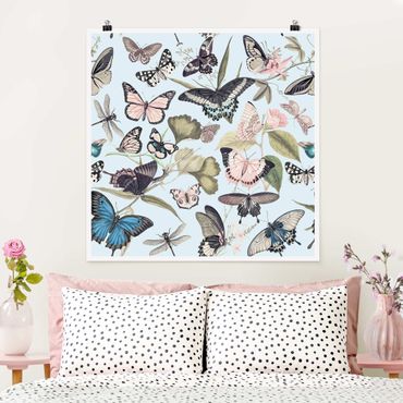 Poster - Vintage Collage - Butterflies And Dragonflies