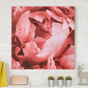 Tableau sur toile - Peony Blossom Coral