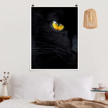 Poster animaux - Hypnotic Glance