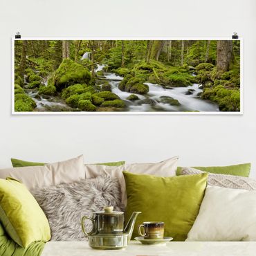 Poster panoramique nature & paysage - Mossy Stones Switzerland