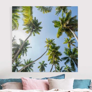 Impression sur toile - Palm Tree Canopy