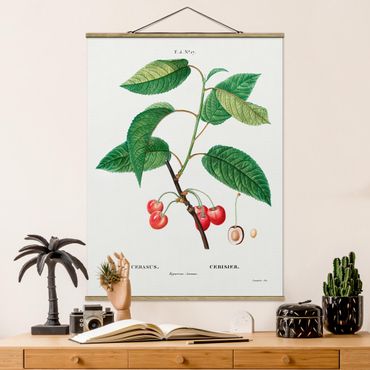 Tableau en tissu avec porte-affiche - Botany Vintage Illustration Red Cherries