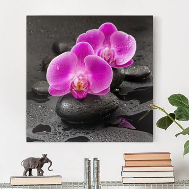 Impression sur toile - Pink Orchid Flower On Stones With Drops