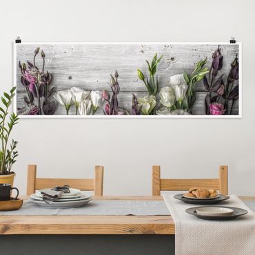 Poster panoramique fleurs - Tulip Rose Shabby Wood Look