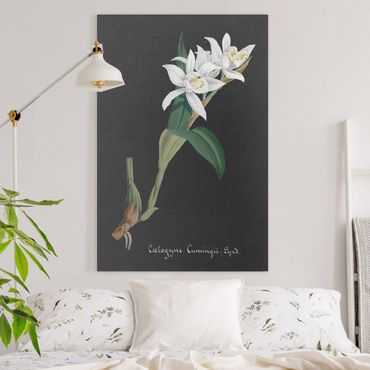 Impression sur toile - White Orchid On Linen II