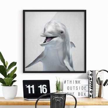 Poster encadré - Dolphin Diddi