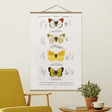Tableau en tissu avec porte-affiche - Vintage Board Butterflies II