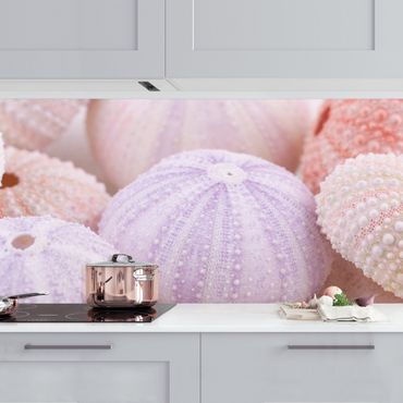 Revêtement mural cuisine - Sea Urchin In Pastel