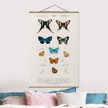 Tableau en tissu avec porte-affiche - Vintage Board Butterflies I