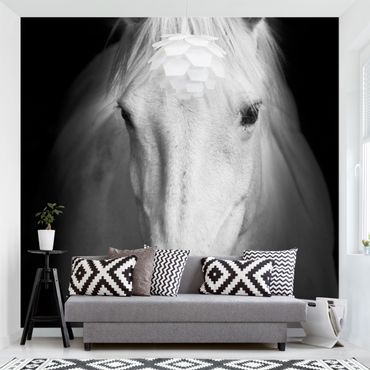Papier peint - Dream Of A Horse
