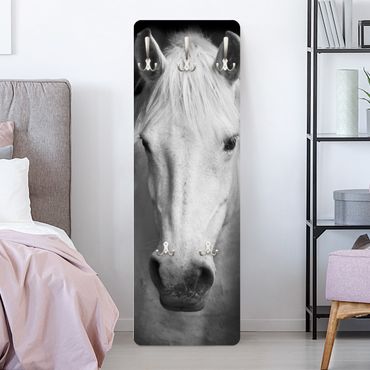 Porte-manteau - Dream Of A Horse
