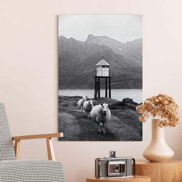 Tableau sur toile - Three Sheep On the Lofoten