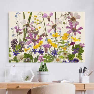 Tableau sur toile naturel - Fragrant Flower Meadow - Format paysage 3:2