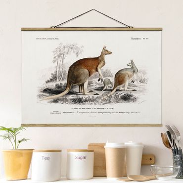 Tableau en tissu avec porte-affiche - Vintage Board Kangaroo