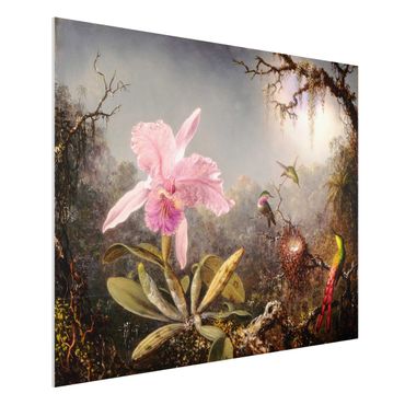 Impression sur forex - Martin Johnson Heade - Orchid And Three Hummingbirds