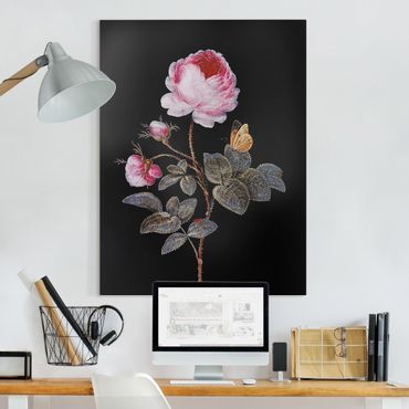 Impression sur toile - Barbara Regina Dietzsch - The Hundred-Petalled Rose