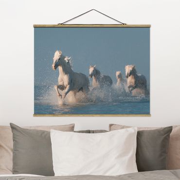 Tableau en tissu avec porte-affiche - Herd Of White Horses