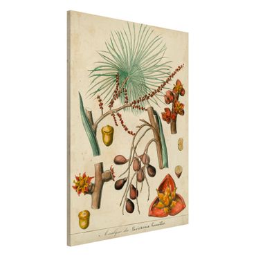 Tableau magnétique - Vintage Board Exotic Palms III