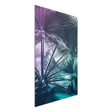 Impression sur aluminium - Tropical Plants Palm Leaf In Turquoise IIl