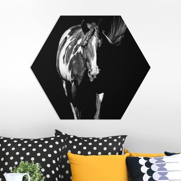 Hexagone en forex - Horse In The Dark