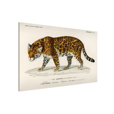 Tableau magnétique - Vintage Board Jaguar