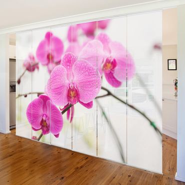 Set de panneaux coulissants - Close-Up Orchid