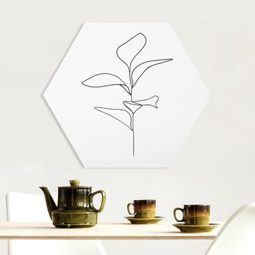 Hexagone en forex - Line Art Plant Leaves Black And White