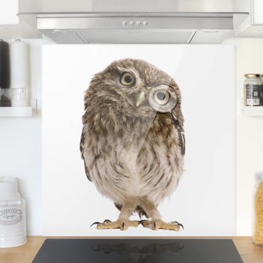 Fond de hotte - Curious Owl