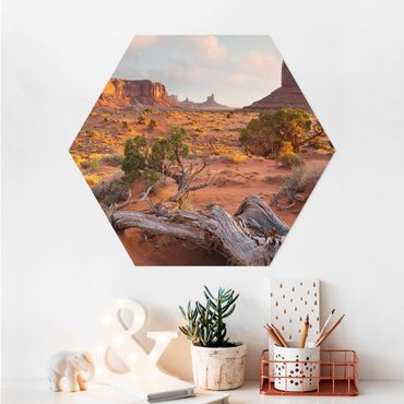 Hexagone en alu Dibond - Monument Valley Navajo Tribal Park Arizona