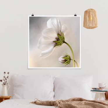 Poster - Heavenly Flower Dream