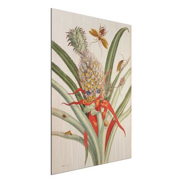 Impression sur aluminium - Anna Maria Sibylla Merian - Pineapple With Insects