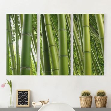 Impression sur toile 3 parties - Bamboo Trees
