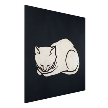 Tableau en alu Dibond - Sleeping Cat Illustration