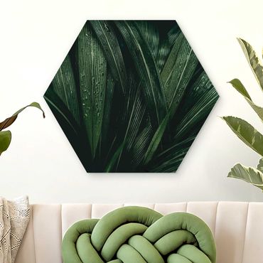 Hexagone en bois - Green Palm Leaves