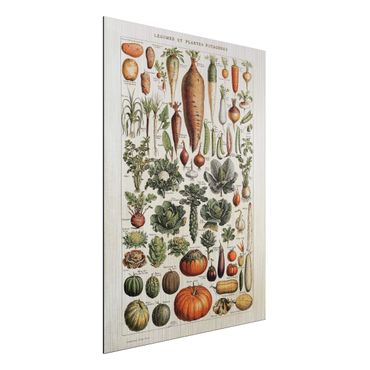 Impression sur aluminium - Vintage Board Vegetables